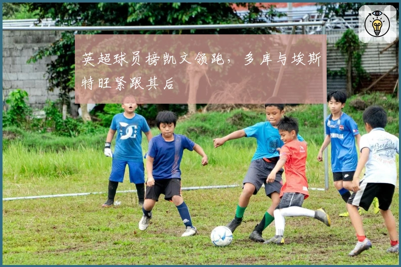 英超球员榜凯文领跑，多库与埃斯特旺紧跟其后